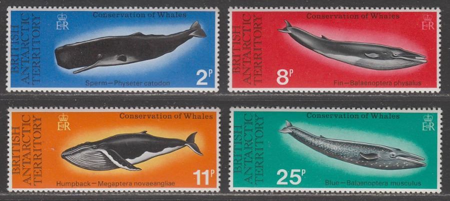 British Antarctic Territory 1977 Whales Set Mint SG79-82 cat £24 BAT QEII