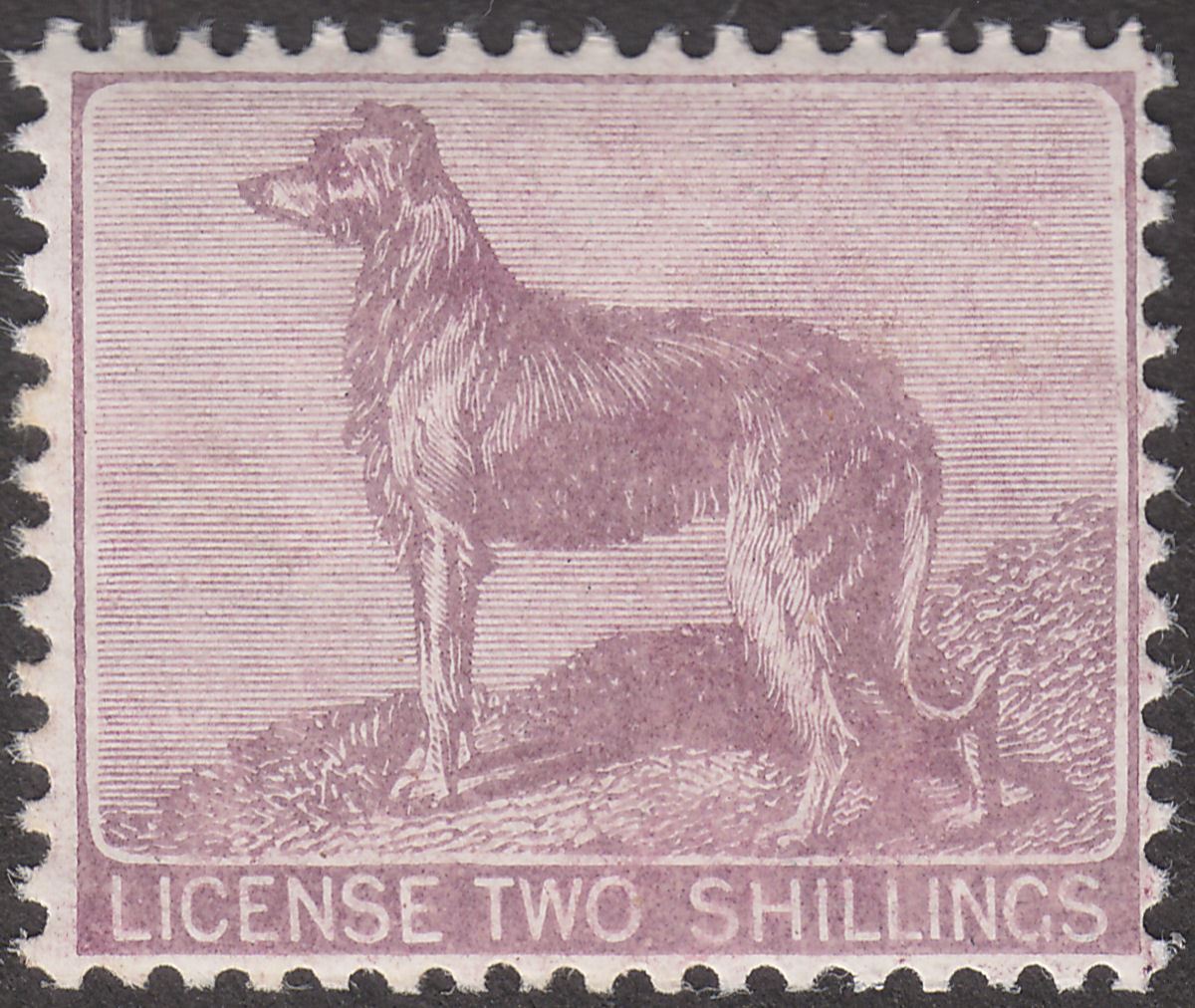 Ireland 1905 KEVII Revenue Dog Licence 2sh Lilac perf 14 Chalky Paper Mint BF4a