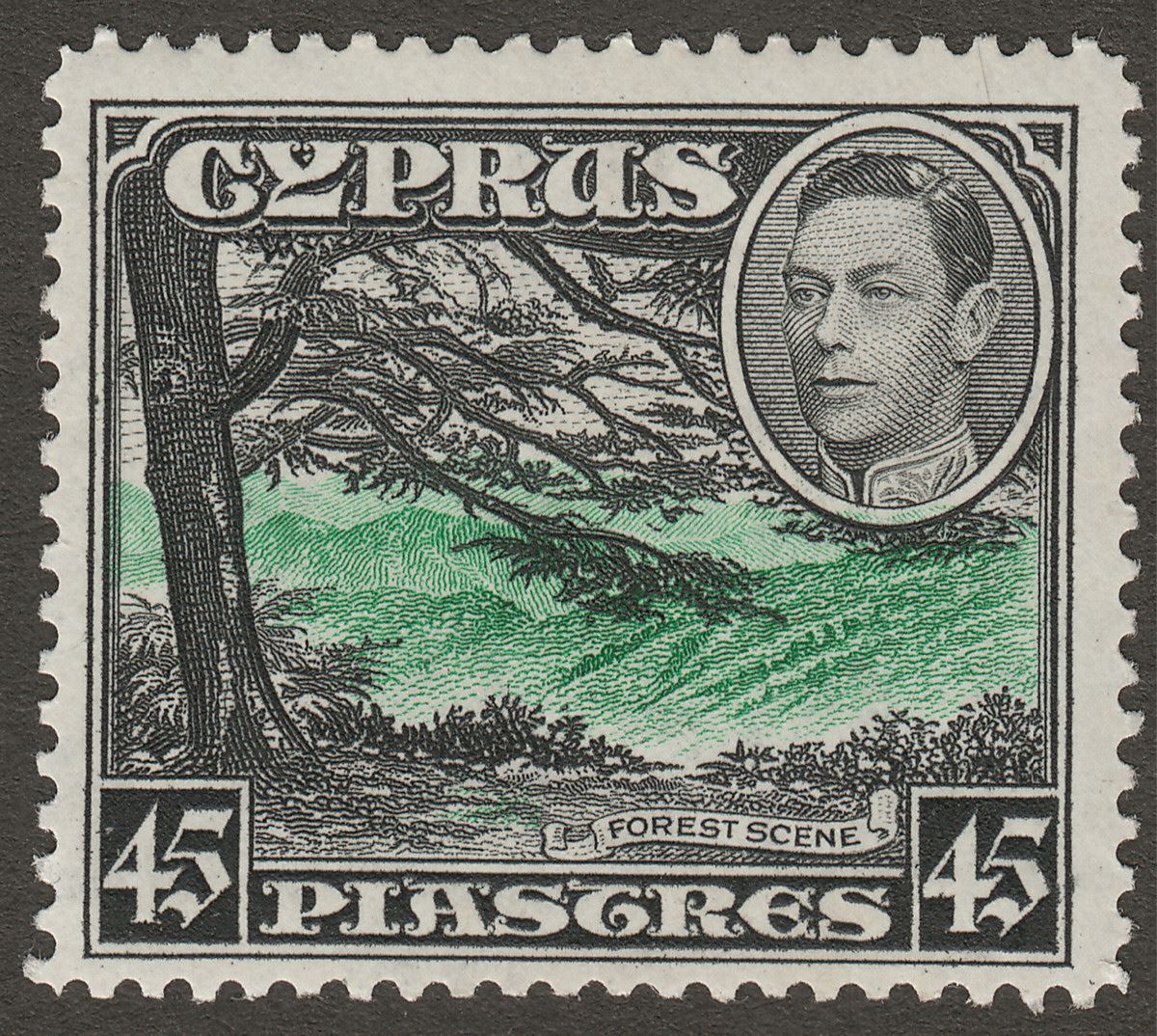 Cyprus 1938 KGVI Forest Scene 45pi Green and Black Mint SG161