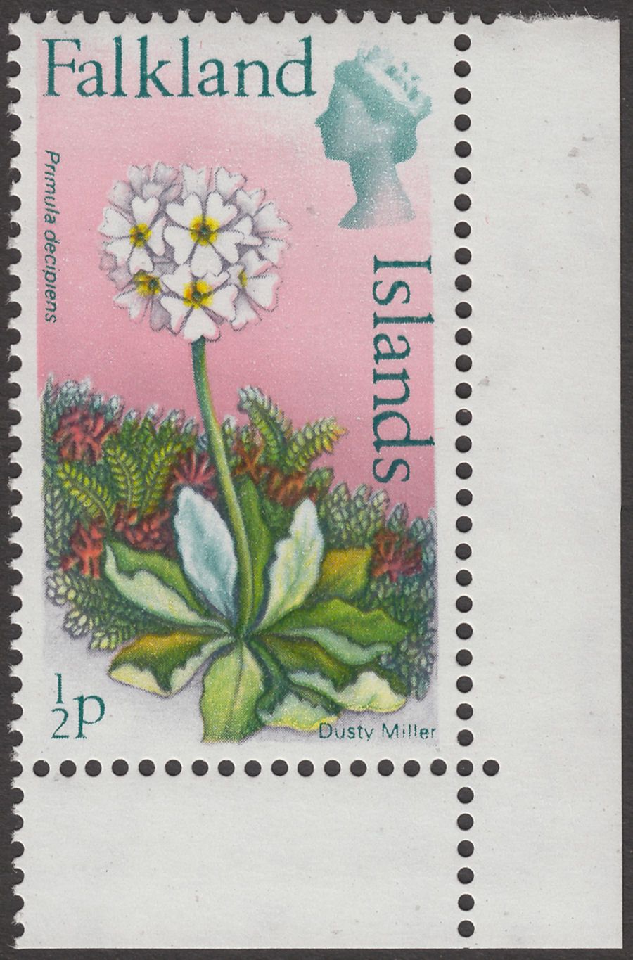 Falkland Islands 1974 QEII Flowers ½p wmk Upright Mint SG293