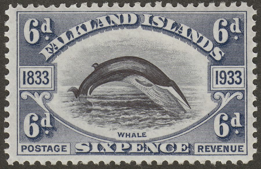 Falkland Islands 1933 KGV Fin Whale 6d Black and Slate Mint SG133 cat £75