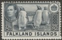 Click for more photos and details Falkland Islands 1938 KGVI Penguins 2sh6d Slate Mint SG160 cat £60