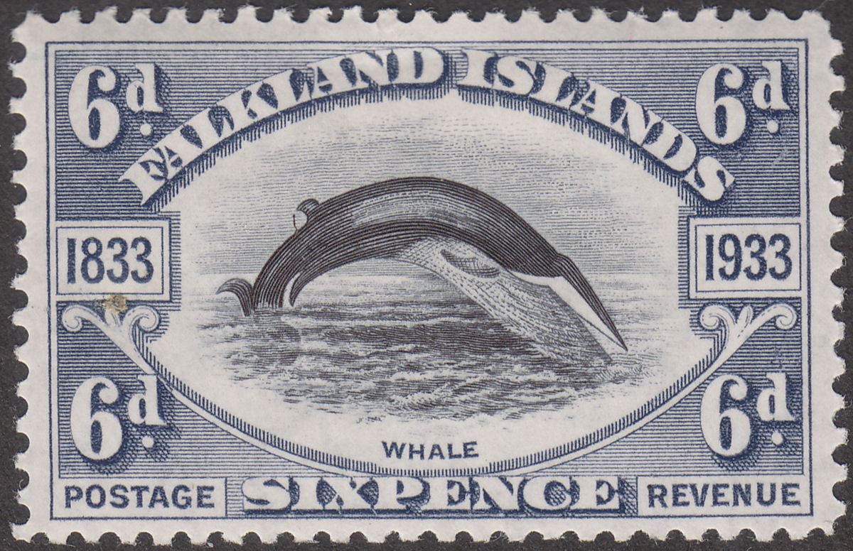 Falkland Islands 1933 KGV Centenary Fin Whale 6d Black + Slate Mint SG133 cat£80