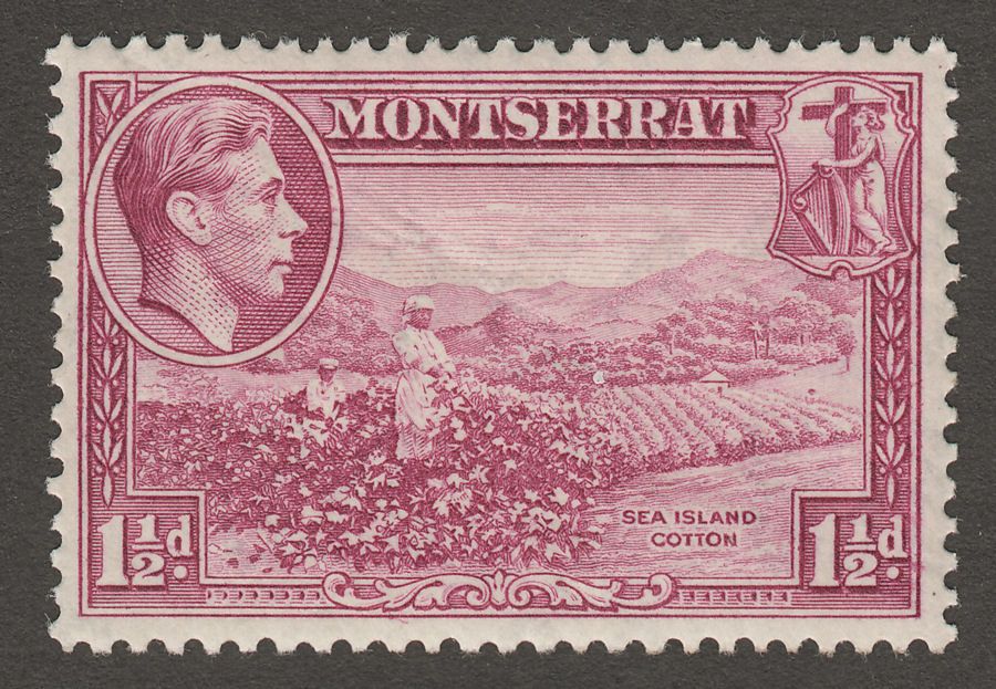Montserrat 1938 KGVI 1½d Purple perf 13 Mint SG103