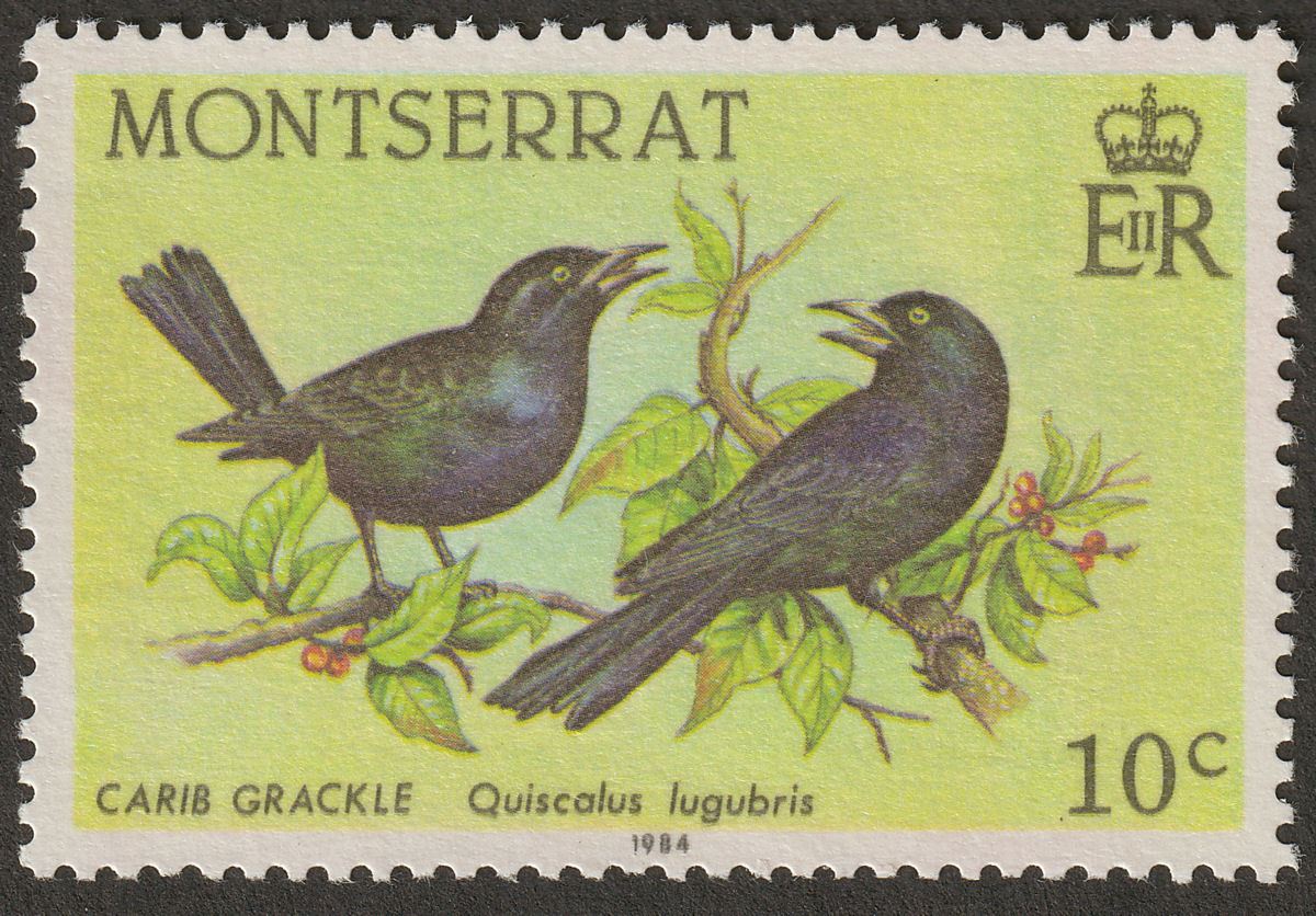 Montserrat 1984 Birds 10c Printed on the Gummed Side Mint SG601a