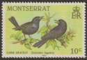 Montserrat 1984 Birds 10c Printed on the Gummed Side Mint SG601a