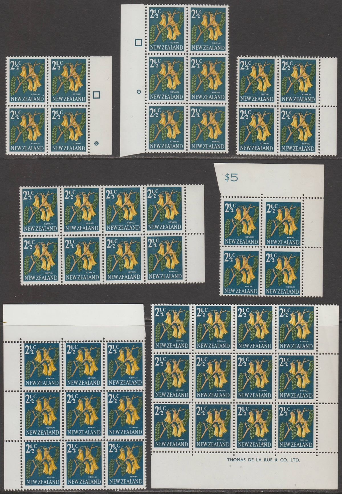 New Zealand 1967 QEII Kowhai 2½c Block Selection with Varieties Mint SG848