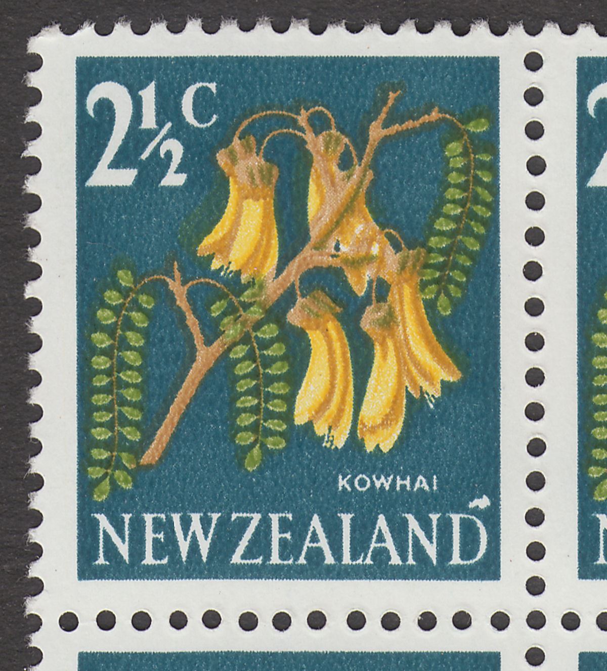 New Zealand 1967 QEII Kowhai 2½c Block Selection with Varieties Mint SG848