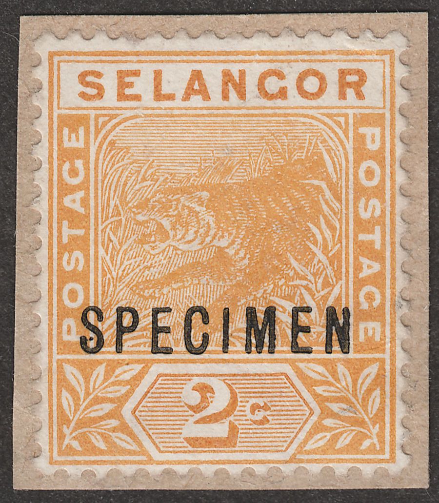 Malaya Selangor 1895 QV Leaping Tiger 2c Orange Specimen SG51s