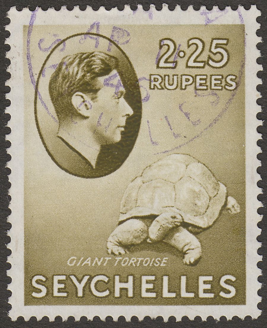 Seychelles 1938 KGVI Tortoise 2r25c Olive Chalky Used SG148