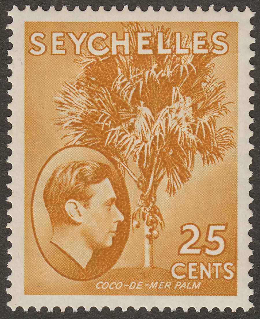 Seychelles 1938 KGVI Palm Tree 25c Brown-Ochre Mint SG141