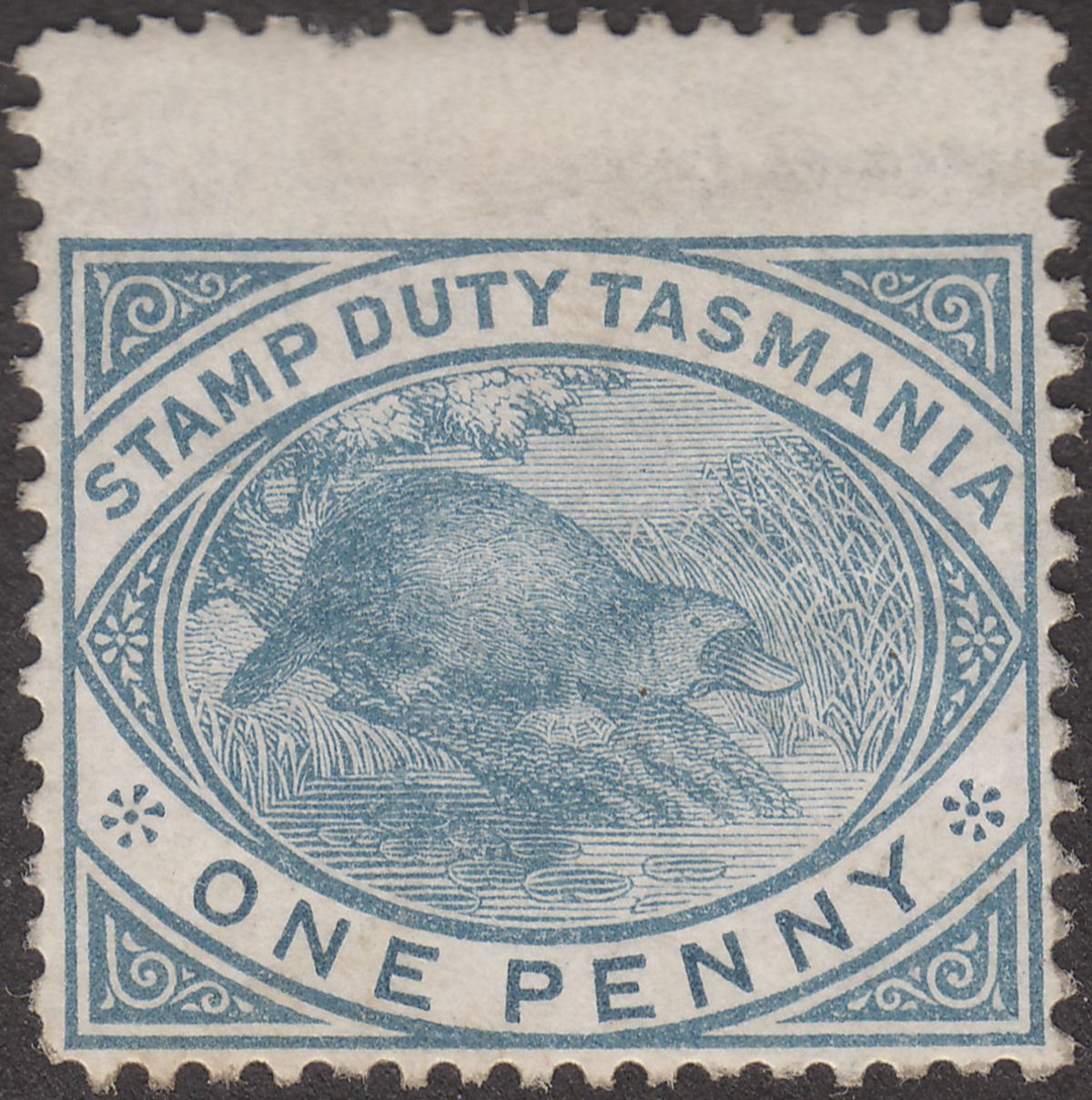 Tasmania 1880 QV Revenue Stamp Duty Platypus 1d Slate Mint SG F26 cat £55