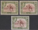 Aden 1939 KGVI Camel Corps 5r Red-Brown and Olive-Green Shades Mint SG26 cat£105