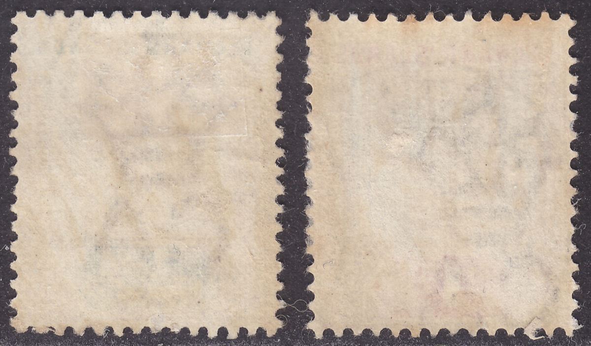 Leeward Islands 1890 Queen Victoria 1d, 2½d Used with Antigua Postmarks