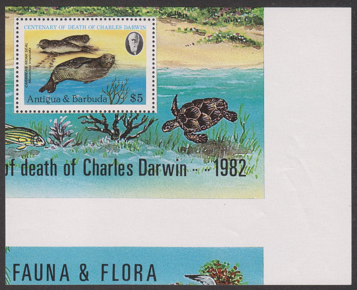 Antigua Barbuda 1982 Darwin $5 Seal Miniature Sheet Miscut Mint SG MS747var