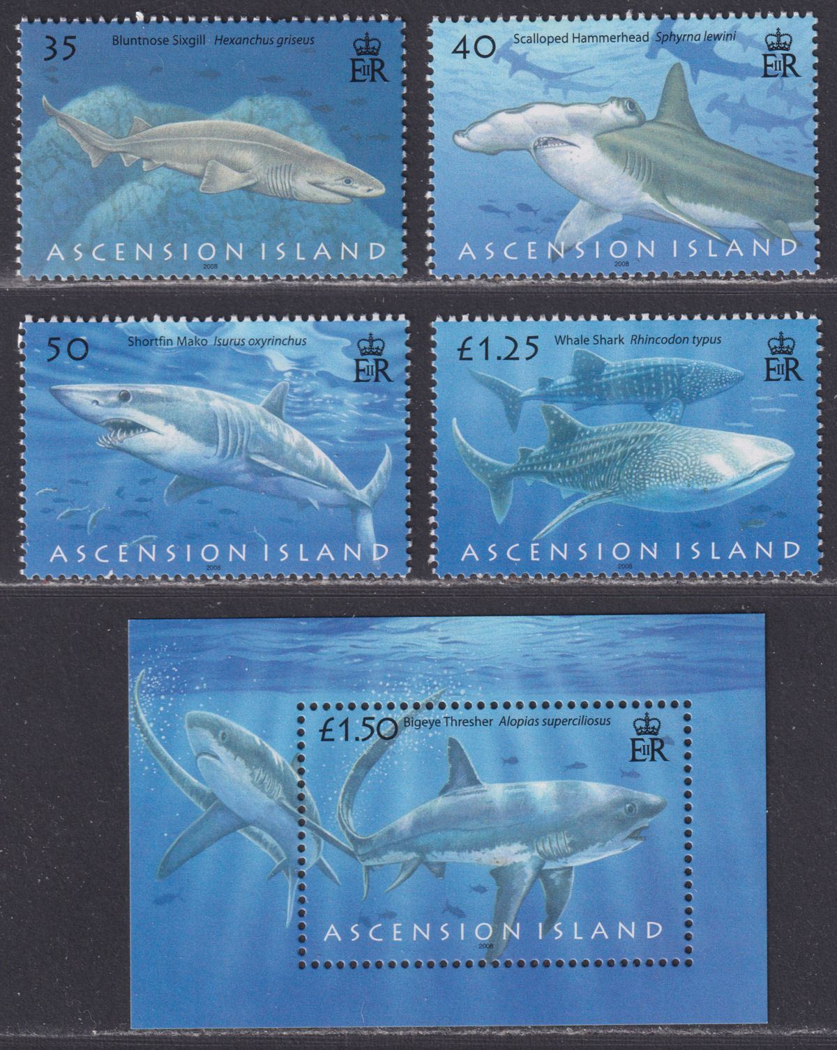Ascension 2008 QEII Sharks Set + MS Mint SG806-809