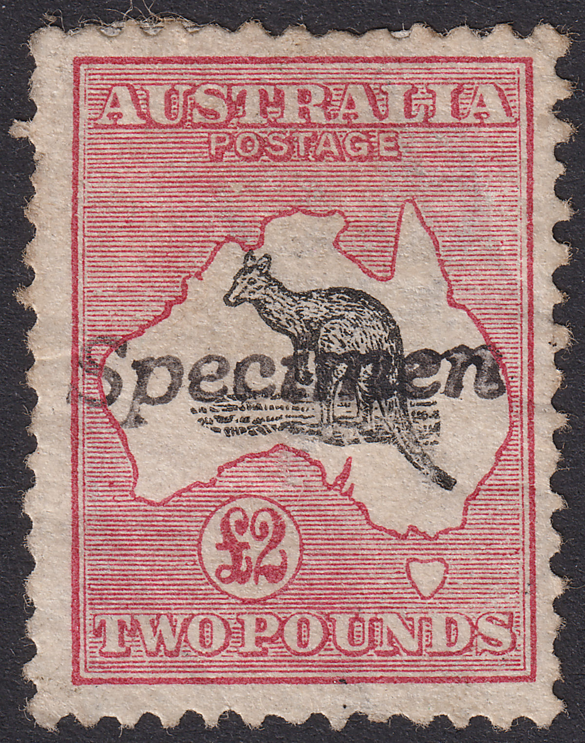 Australia 1913 KGV SPECIMEN Roo £2 Black + Rose wmk Wide Crown Mint SG16s FAULTY