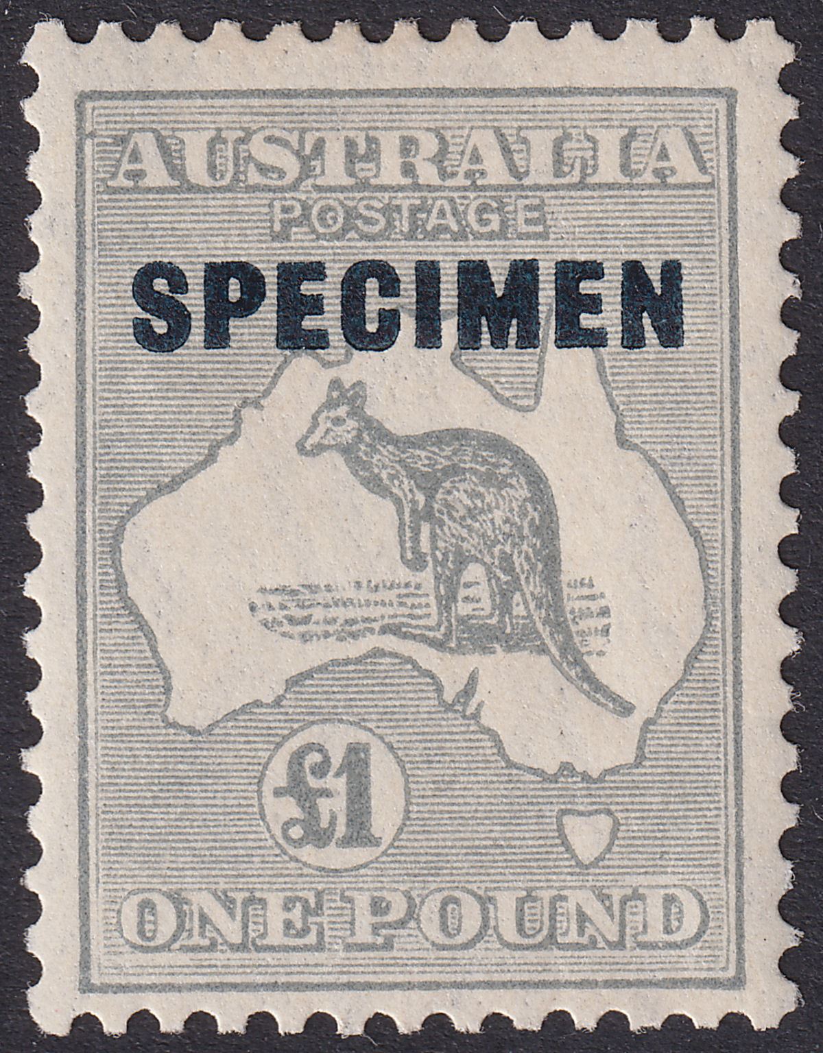 Australia 1935 KGV SPECIMEN Roo £1 Grey Mint SG137s