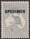 Click for more photos and details Australia 1935 KGV SPECIMEN Roo £1 Grey Mint SG137s