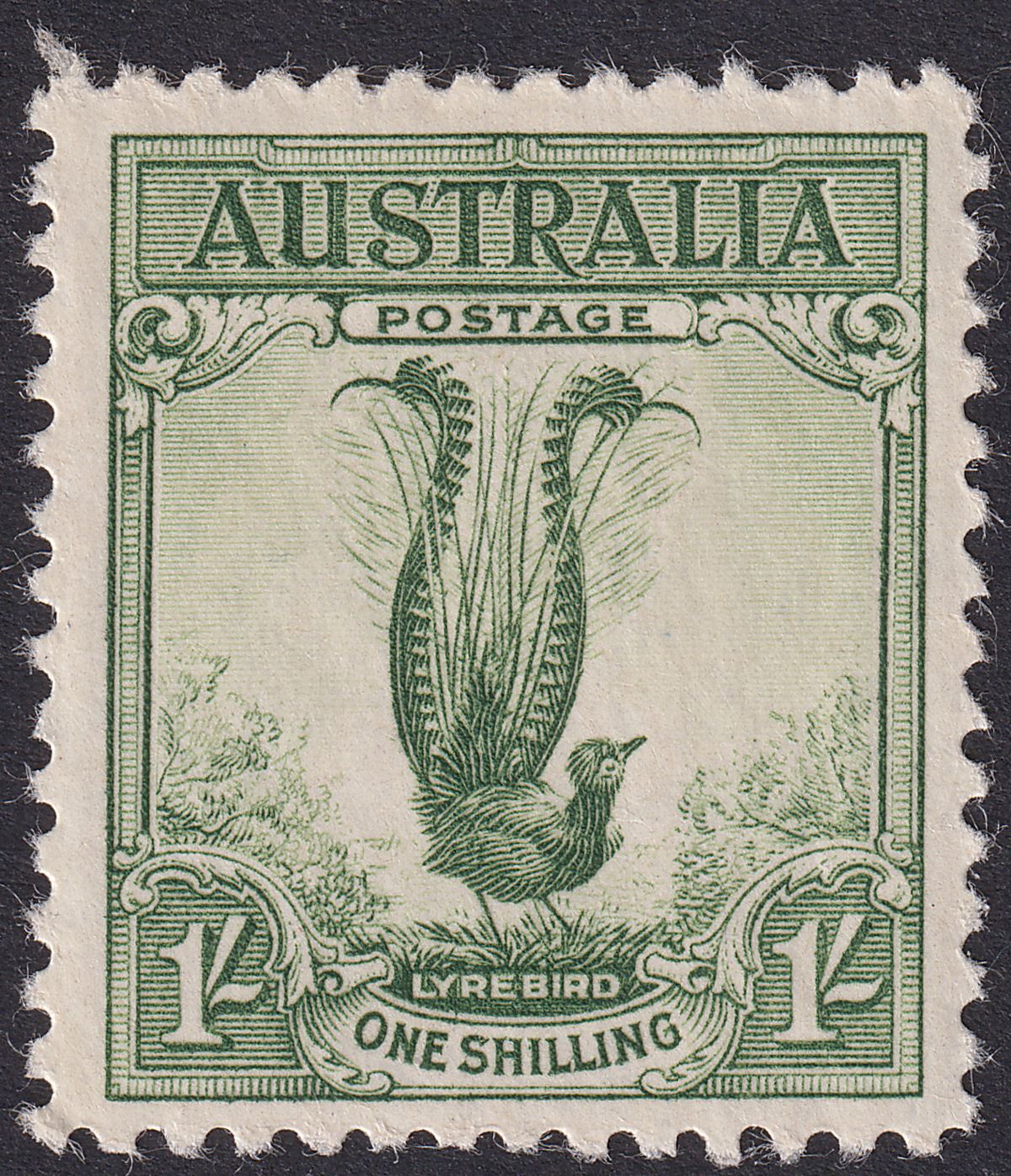 Australia 1932 KGV Lyrebird 1sh Green Mint SG140 cat £45