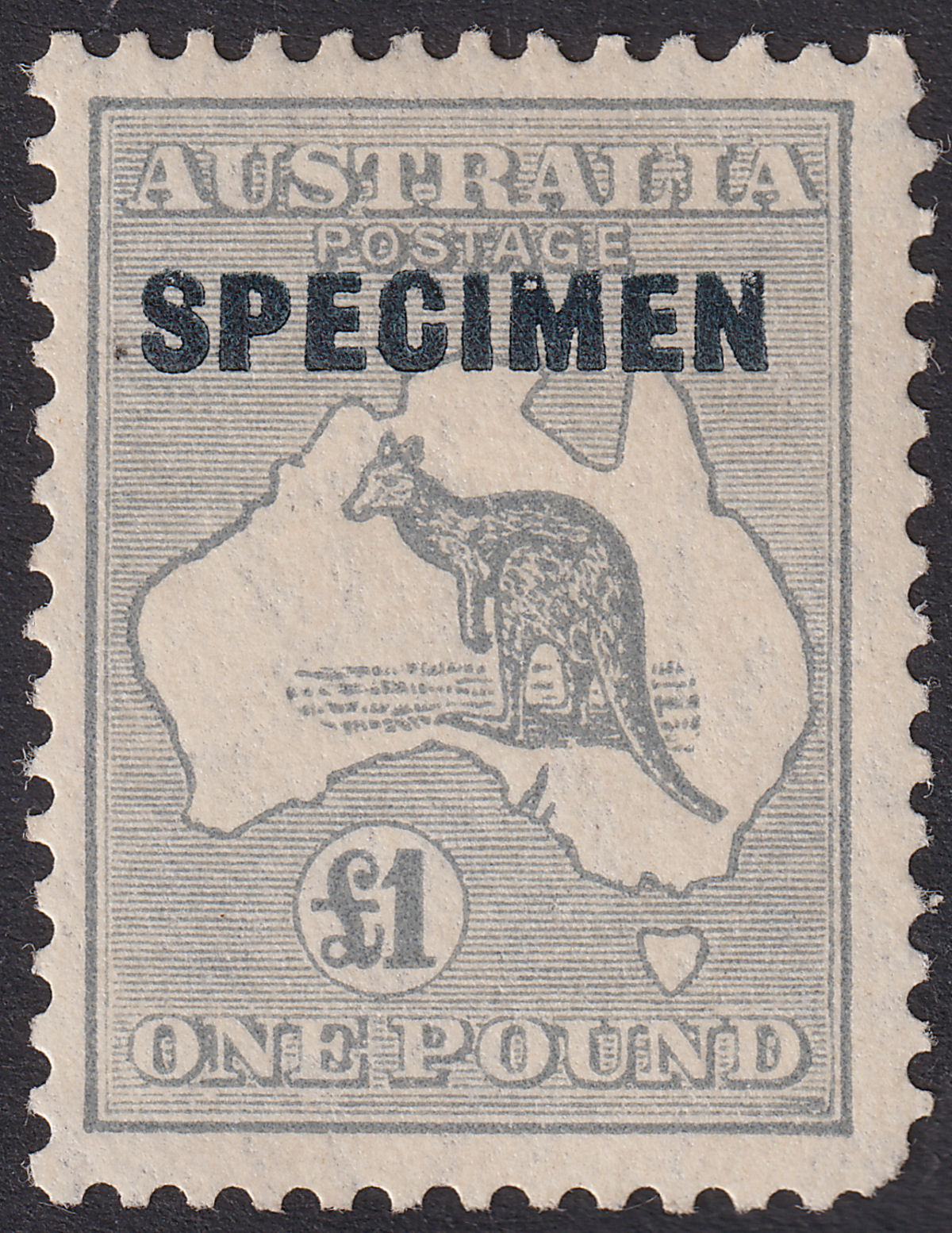 Australia 1935 KGV SPECIMEN Roo £1 Grey Mint SG137s