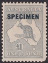 Australia 1935 KGV SPECIMEN Roo £1 Grey Mint SG137s