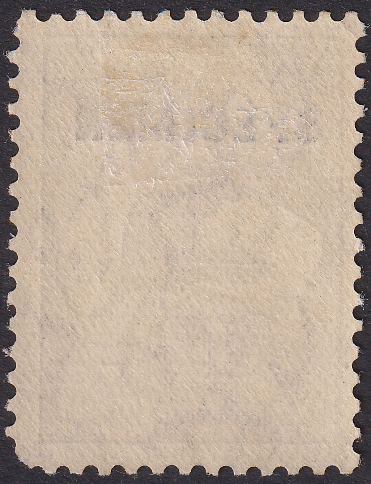 Australia 1935 KGV SPECIMEN Roo £1 Grey Mint SG137s