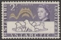 Click for more photos and details British Antarctic Territory 1963 Huskies 2sh Dp Violet + Orange-Sepia Mint SG11