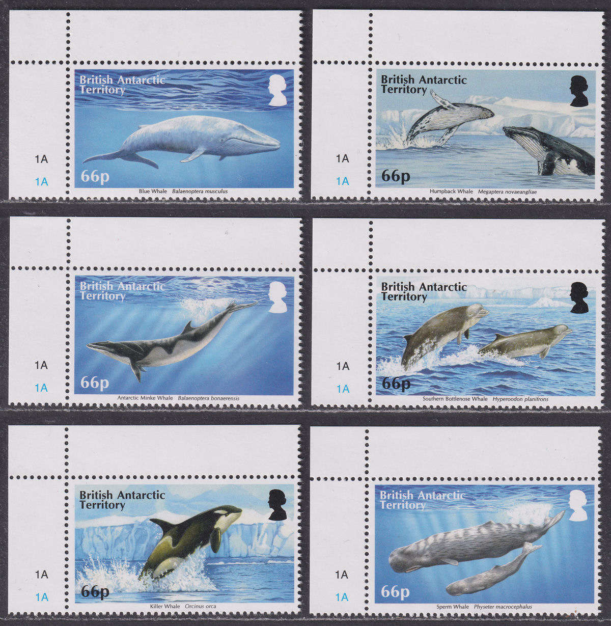 British Antarctic Territory 2015 Whales Set UM Mint SG663-668