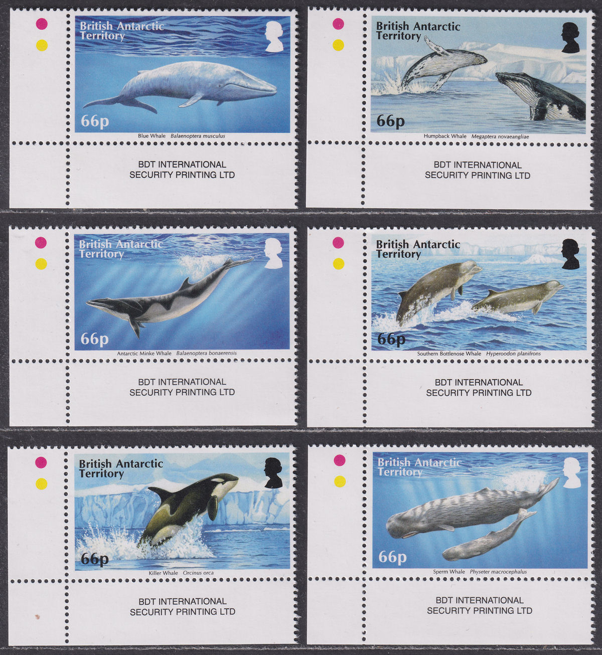 British Antarctic Territory 2015 Whales Set UM Mint SG663-668