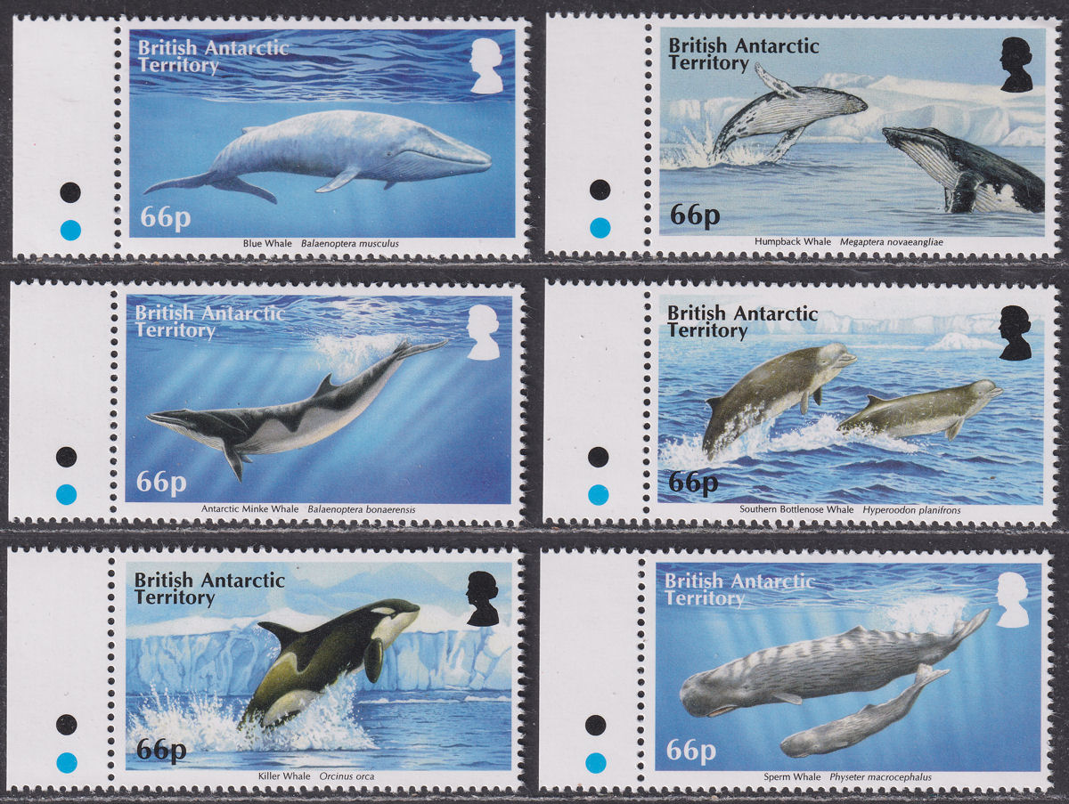 British Antarctic Territory 2015 Whales Set UM Mint SG663-668