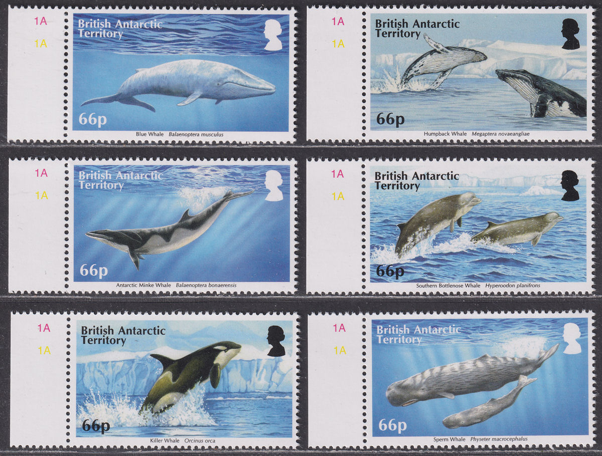 British Antarctic Territory 2015 Whales Set UM Mint SG663-668