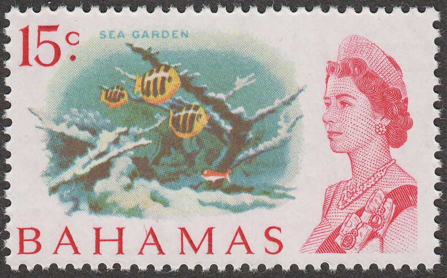 Bahamas 1970 QEII 15c Sea Garden White Paper Mint SG304a