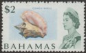 Bahamas 1971 QEII $2 Conch Shell Whiter Paper Mint SG308a