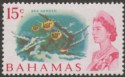 Bahamas 1970 QEII 15c Sea Garden White Paper Mint SG304a