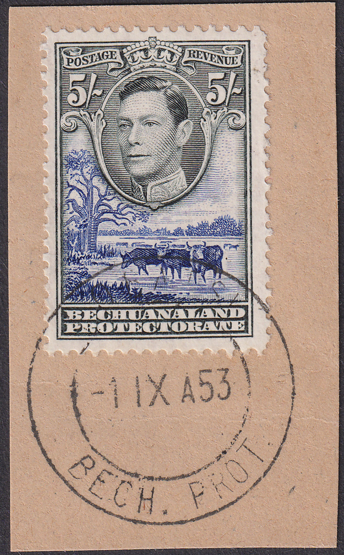 Bechuanaland Protectorate 1938 KGVI 5sh Used on Piece SG127a cat £85