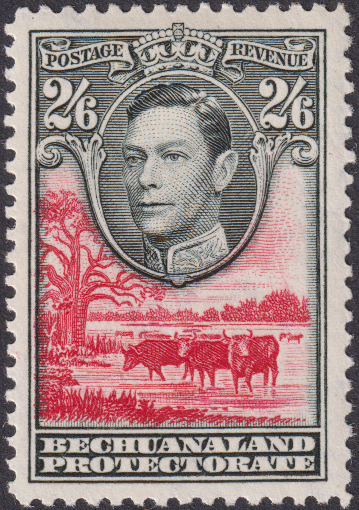 Bechuanaland Protectorate 1938 KGVI 2sh6d Black and Carmine Mint SG126 cat £16