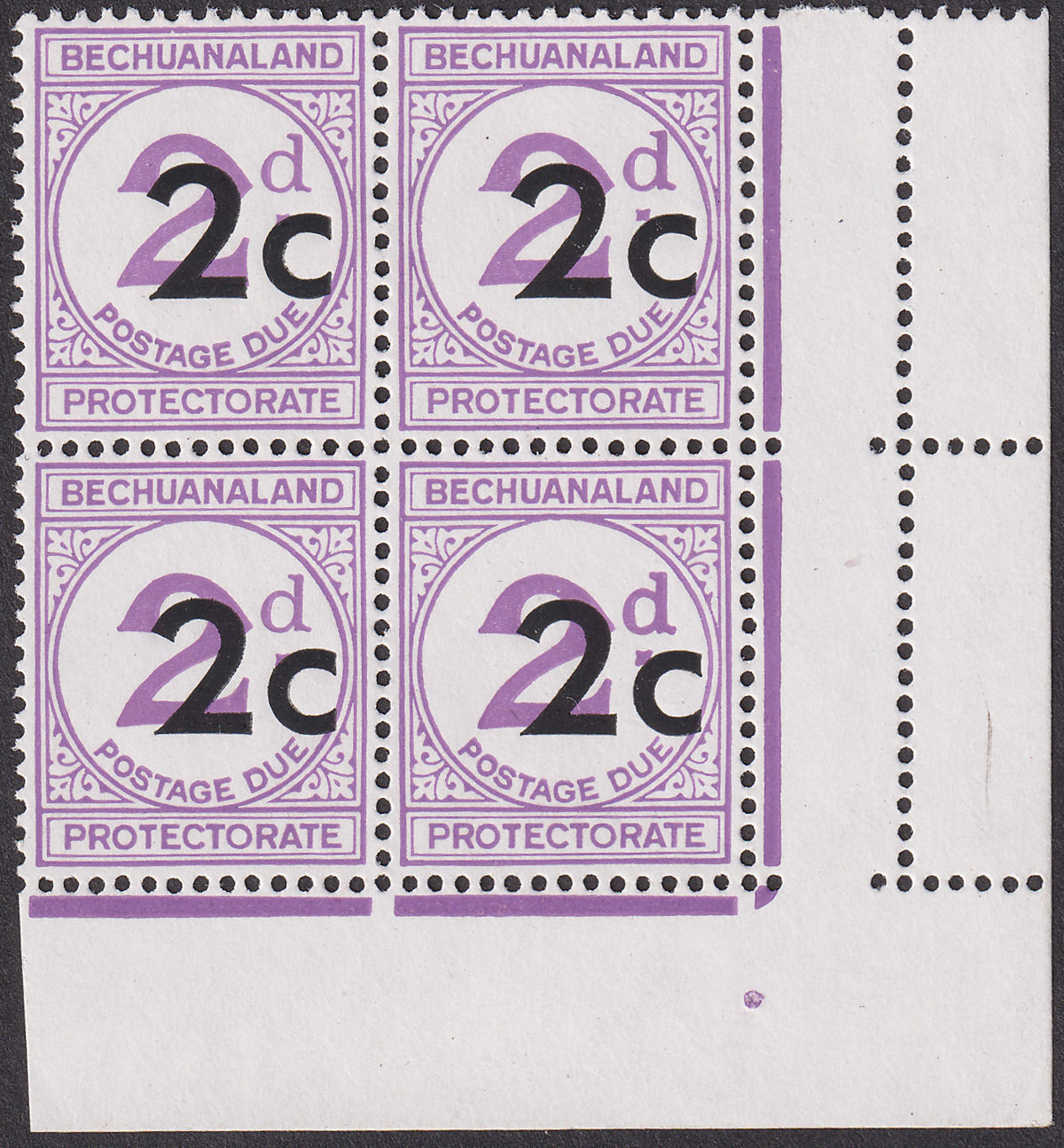 Bechuanaland Protectorate 1961 Postage Due 2c Block Var Large d x2 Mint SG D8ca