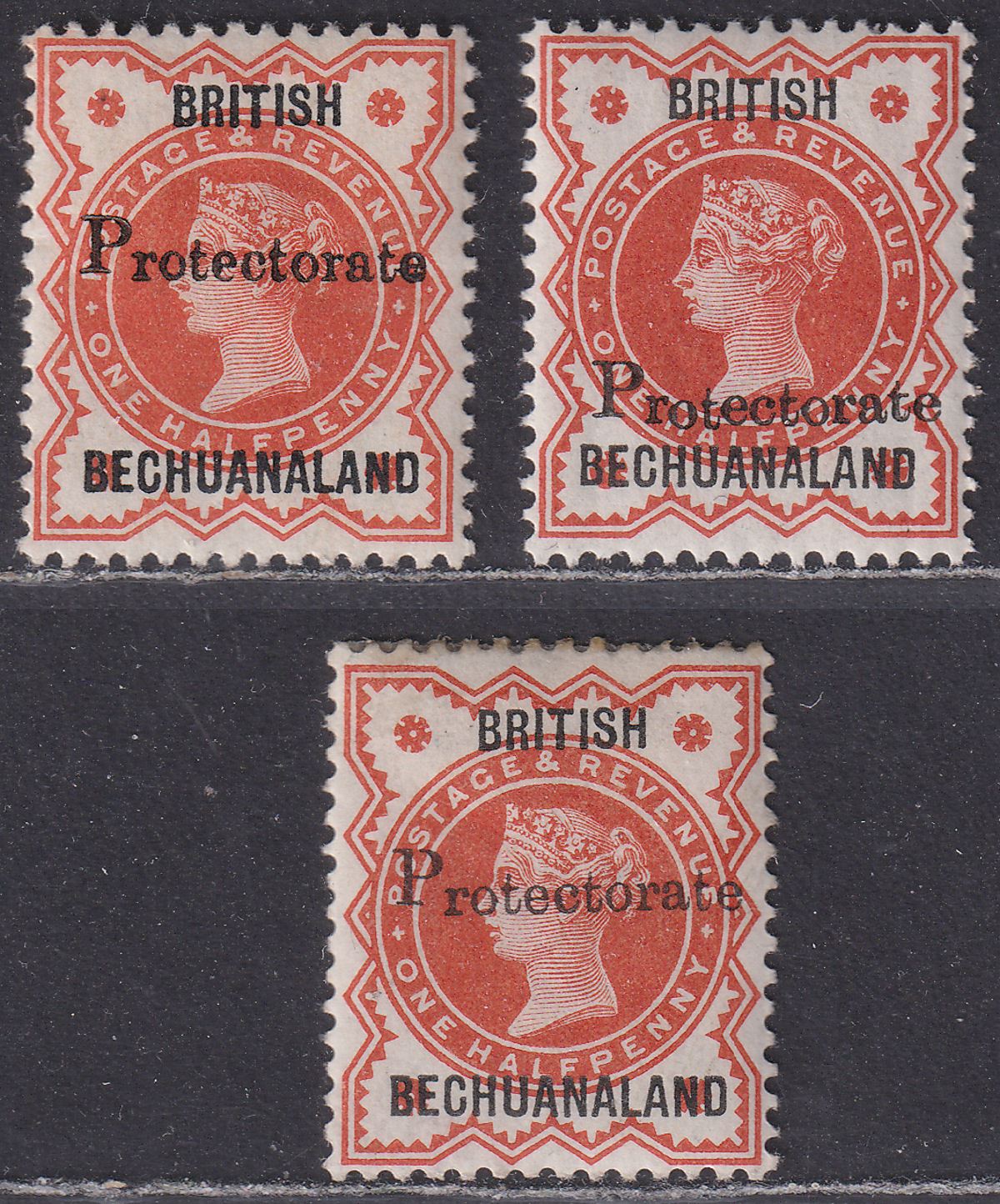 Bechuanaland Protectorate 1888 Opt 15½mm QV ½d Vermilion Selection Mint SG40
