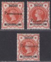 Bechuanaland Protectorate 1888 Opt 15½mm QV ½d Vermilion Selection Mint SG40