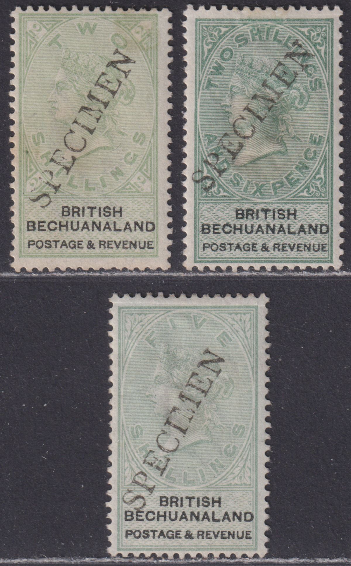 British Bechuanaland 1888 QV SPECIMEN Overprint 2sh, 2sh6d, 5sh Mint / Unused
