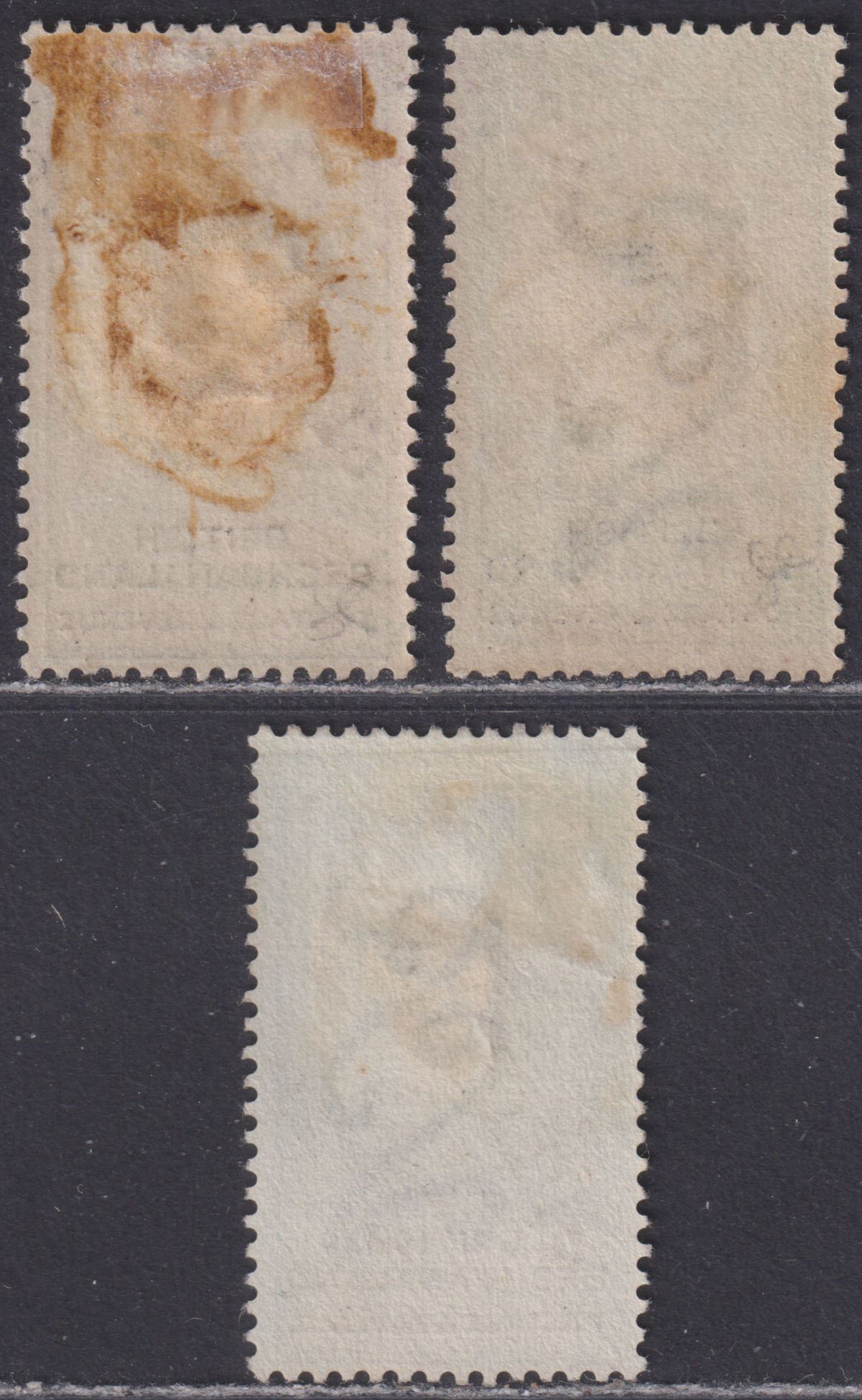 British Bechuanaland 1888 QV SPECIMEN Overprint 2sh, 2sh6d, 5sh Mint / Unused