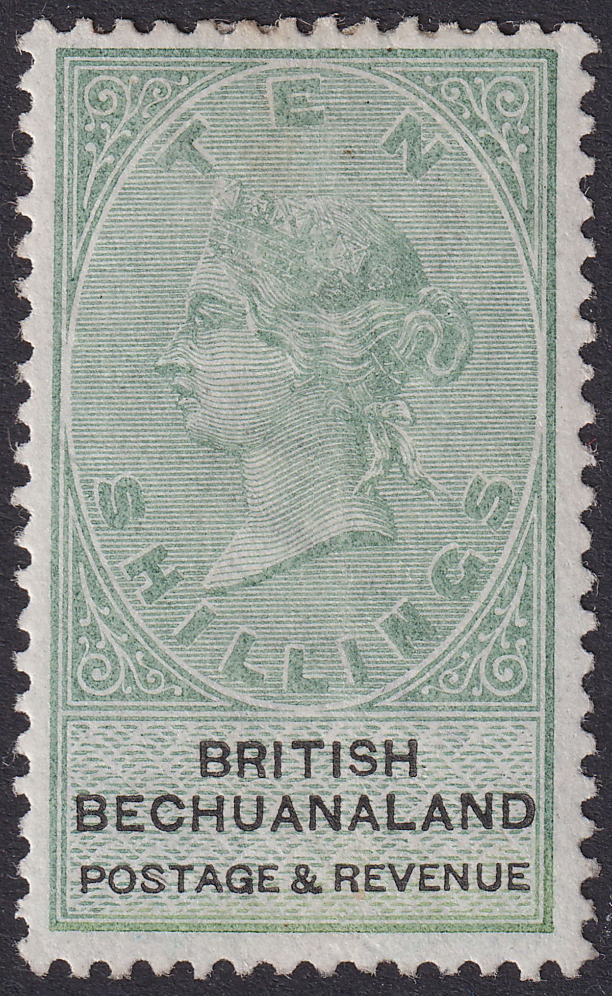 British Bechuanaland 1888 QV 10sh Green and Black Mint SG19 cat £275 blued paper