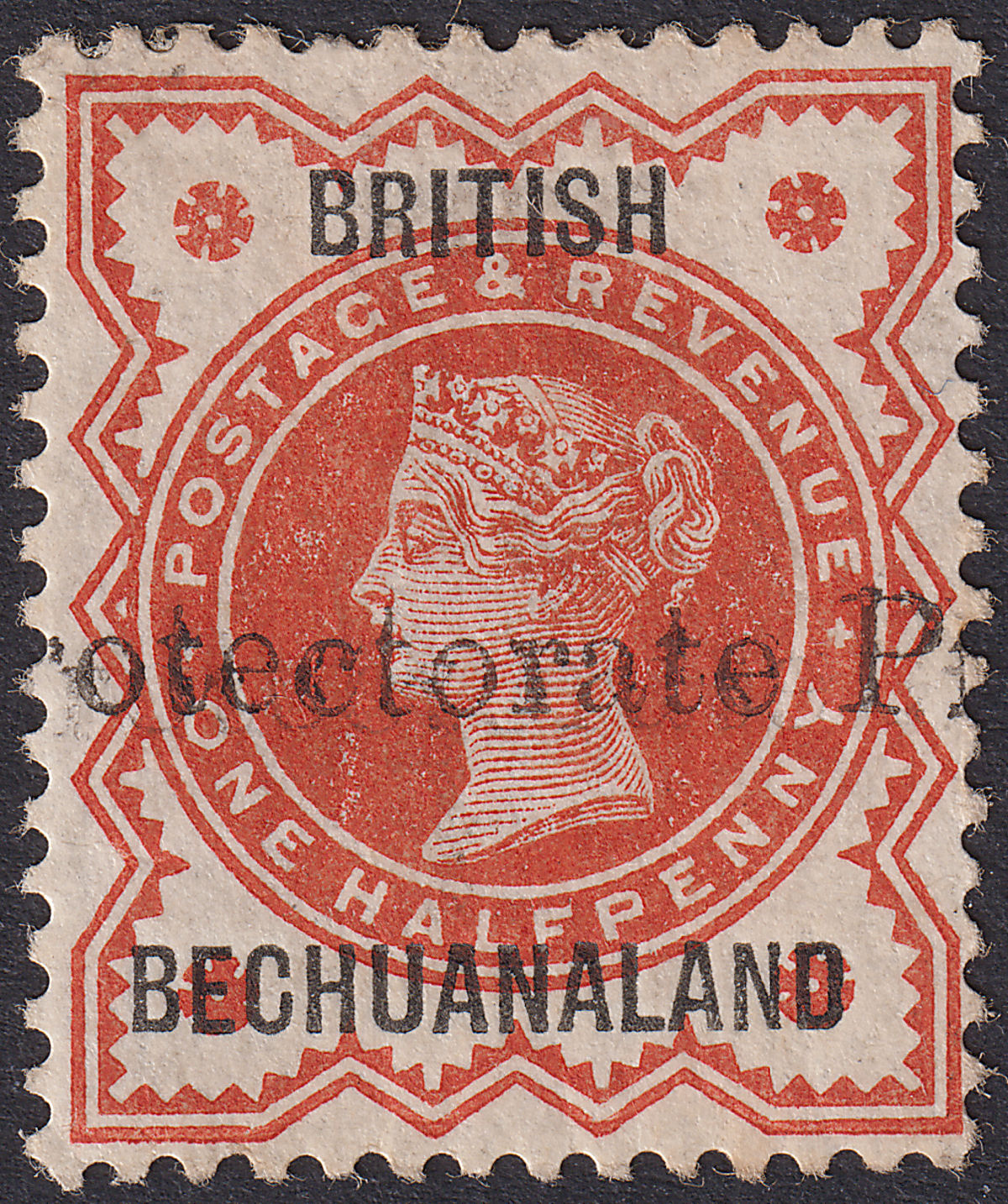Bechuanaland Protectorate 1890 QV Opt Double ½d Type 17 Mint SG55a cat £1600