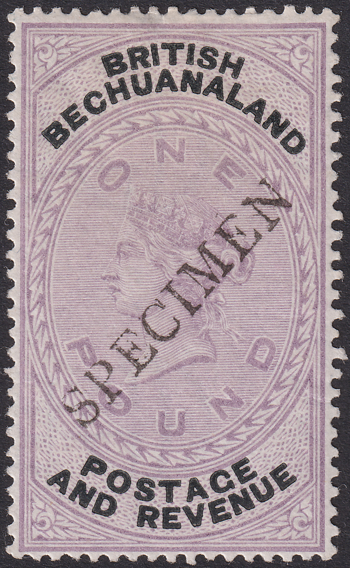 British Bechuanaland 1888 QV SPECIMEN Overprint £1 Lilac and Black Mint SG20s