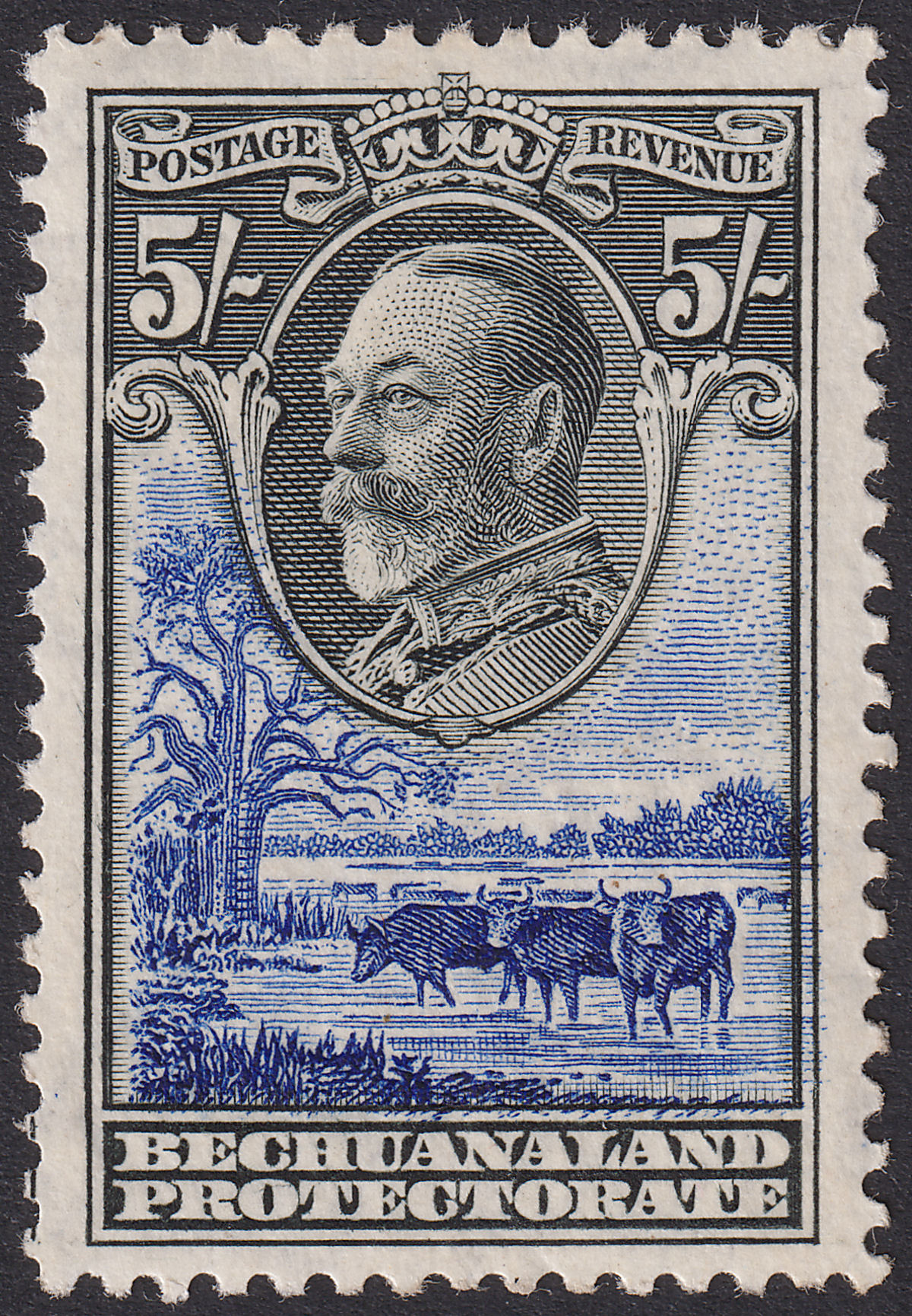 Bechuanaland Protectorate 1932 KGV 5sh Black and Ultramarine Mint SG109 cat £130