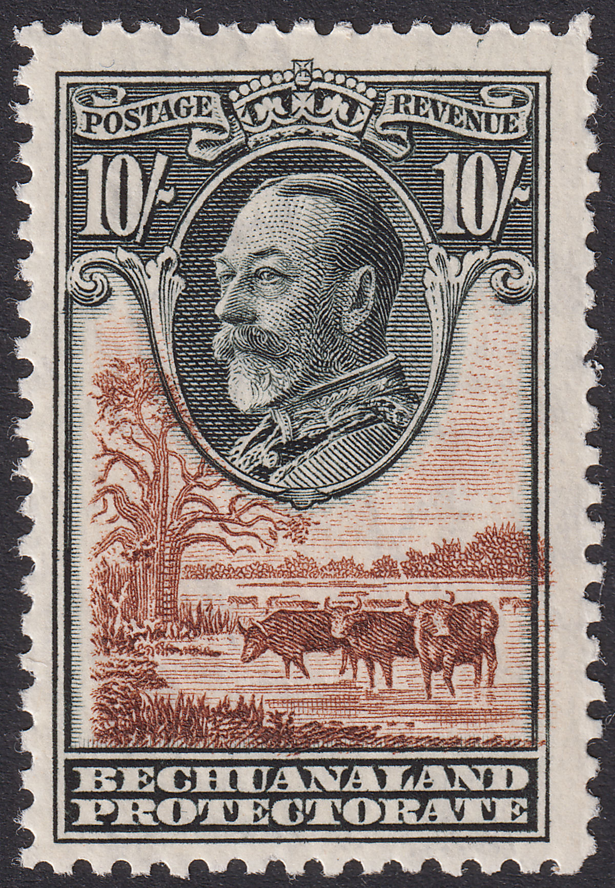 Bechuanaland Protectorate 1932 KGV 10sh Black and Brown UM Mint SG110 cat £325