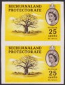 Click for more photos and details Bechuanaland Protectorate 1961 QEII 25c Imperf Proof? Pair UM Mint SG177P wmked