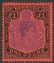 Bermuda 1952 KGVI £1 Bright Violet and Black on Scarlet p13 Mint SG121e