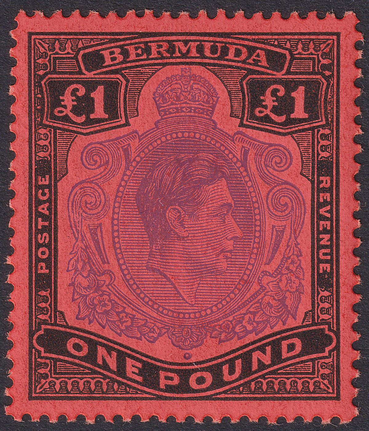 Bermuda 1952 KGVI £1 Violet and Black on Scarlet p13 Mint SG121d